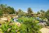 Magic Life Africana Imperial 